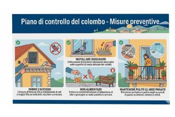 Presenza di colombi in ambito urbano. Invito all’adozione di misure preventive